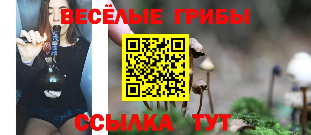 Уварово  Псилоцибиновые грибы ЛСД  Вход с VPN  Галлюциногенные грибы ЛСД 